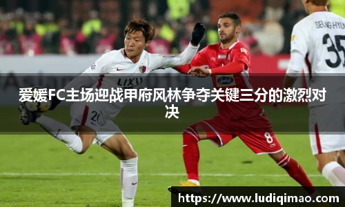 爱媛FC主场迎战甲府风林争夺关键三分的激烈对决